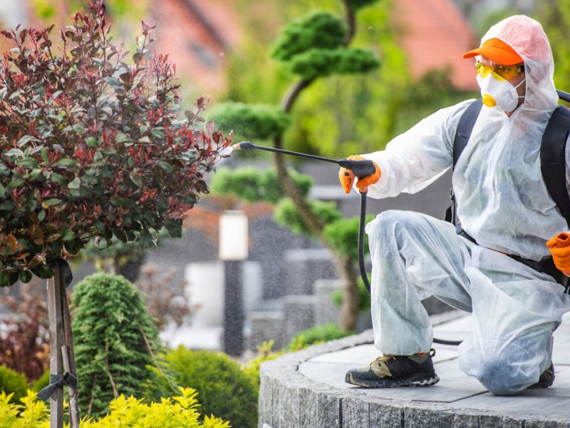 Bayındır Haşere İlaçlama