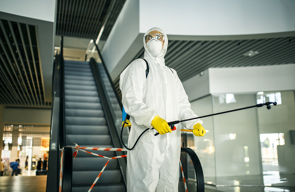 Bayındır Haşere İlaçlama